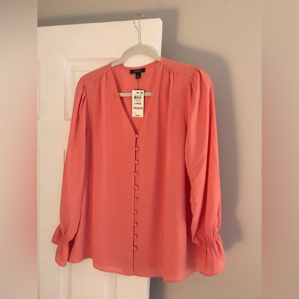 Long sleeve sheer blouse with poet sleeves - V neck with buttons.